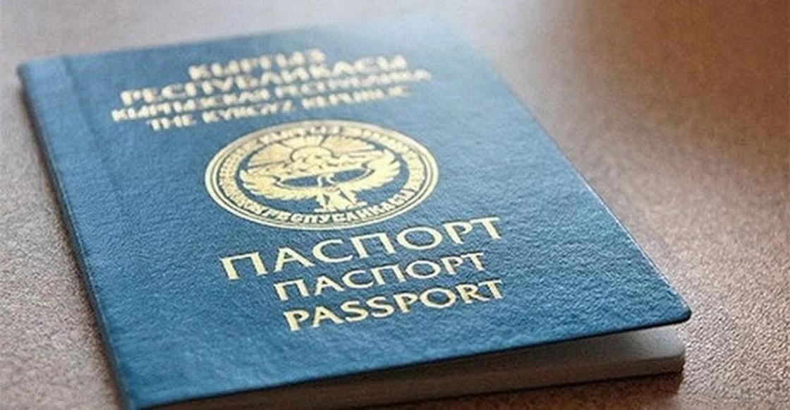 Этнические кыргызы смогут получить гражданство КР по упрощенной процедуре